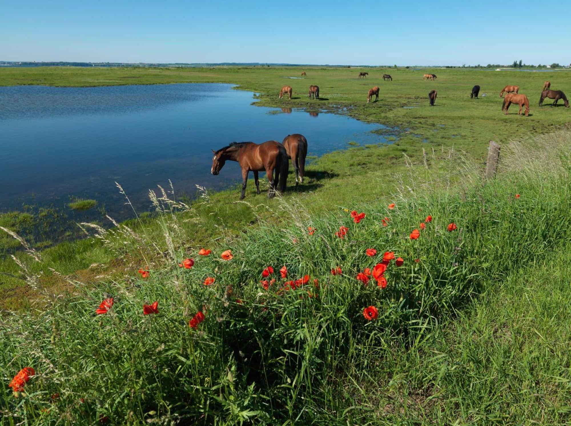Inselhaeuser Kaltenhof Inselhaus Poel 1 Dış mekan fotoğraf